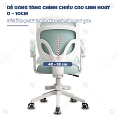 Ghế chống gù học sinh HTDkids F7