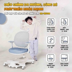 Ghế học sinh chống gù ZX04
