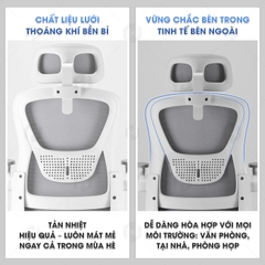 Ghế Xoay Văn Phòng Công Thái Học HTD-588