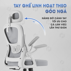 Ghế Xoay Văn Phòng Công Thái Học HTD-588