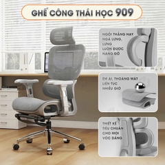 Ghế Công Thái Học HTD-909