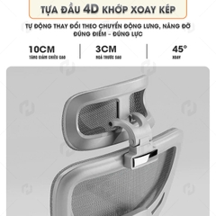 Ghế Công Thái Học HTD-909