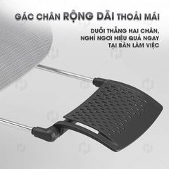 Ghế Công Thái Học HTD-909