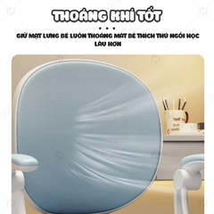 Phụ Kiện Ghế Chống Gù Lưng NTL10