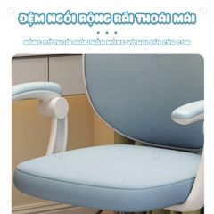 Phụ Kiện Ghế Chống Gù Lưng NTL10