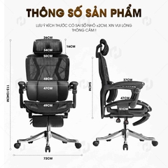 Ghế công thái học HTD-W892