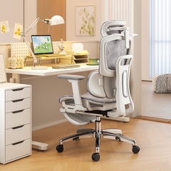 Ghế công thái học HTD-X360