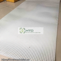 Tấm thép đục lỗ cài móc treo HTD-TL002