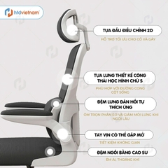 Ghế Văn Phòng S1 Công Thái Học, Ngồi Chuẩn Tư Thế, Chống Đau Lưng