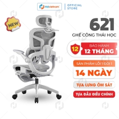 Ghế Văn Phòng Ergonomic 621 – Thiết Kế Tựa Lưng Chia Khối, Ngồi Chuẩn Tư Thế