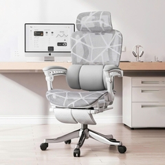 Ghế công thái học HTD-W892