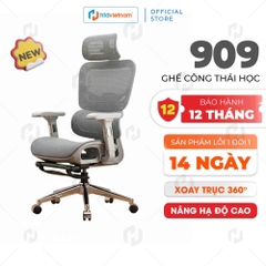 Ghế Công Thái Học HTD-909