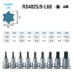 Bộ khẩu tuýp hoa thị Koken RS4025/9-L60