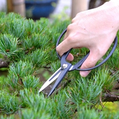 Kéo cắt tỉa cành 200mm Kakuri 48022