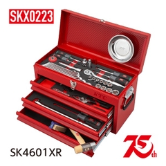 Bộ dụng cụ sửa chữa KTC SK4601XR