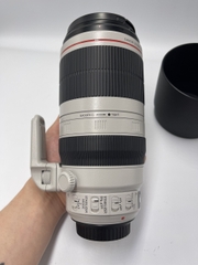 Canon EF 100-400mm F4.5-5.6 IS II USM