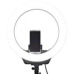 Led Ring KingJoy 11 inch R11 + Chân FL019