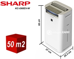 Máy lọc không khí và tạo ẩm Sharp KC-G60EV-W