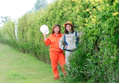 Quần áo bảo hộ lao động Nguyễn Nhung vải Pangrim Hàn Quốc phối màu