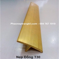 Nẹp Đồng T30