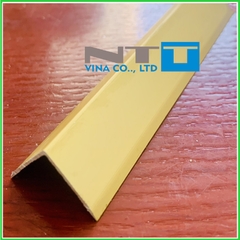 NẸP NHÔM CHỮ V20