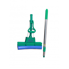 CÂY LAU CONG MỸ RỜI