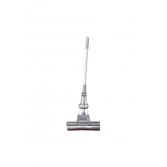 CÂY LAU CONG XÁM MỸ 3 (LOẠI 2)