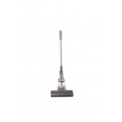 CÂY LAU CONG XÁM MỸ 1