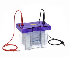 Bể điện di protein đứng omniPAGE ,model: CVS10PRE Hãng Cleaver Scientific - Anh