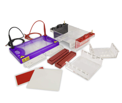 Bộ Điện Di Ngang MultiSUB Midi, model: MSMIDIDUO, Hãng: Cleaver Scientific/Anh