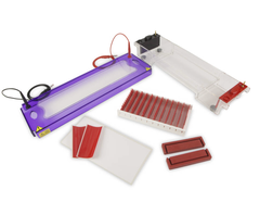 Hệ thống điện di 96 giếng, Model: MIDI96ST, Hãng: Cleaver Scientific/Anh