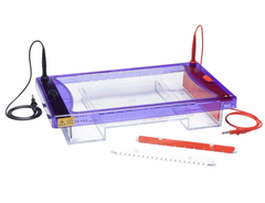 Hệ thống điện di ngang MultiSUB Max, Model: MSMAXI20 Hãng Cleaver Scientific - Anh