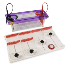 Hệ thống điện di trên gel agarose đa cấp multiSUB-4, Model: CSL- MULTISUB4, Hãng: Cleaver Scientific/Anh