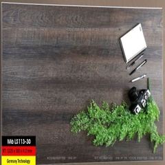 Sàn nhựa giả gỗ có hèm khóa 4,2mm – LUX LS113-30
