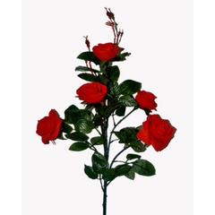 Hoa hồng cành và bông to