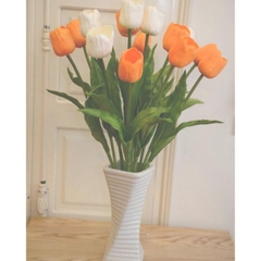 Hoa tulip 1
