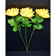 Hoa cúc vàng đơn