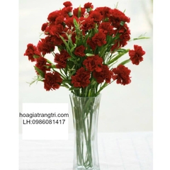 Lọ hoa cẩm chướng 7
