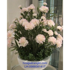 Hoa cẩm chướng 1