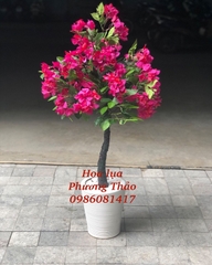 Cây hoa giả-Cây hoa giấy