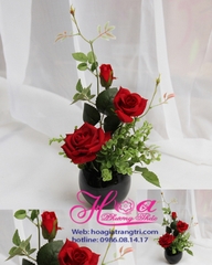 Hoa hồng nhung - HĐBN140