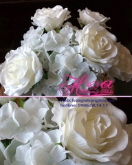 Hoa hồng tú cầu - HC270