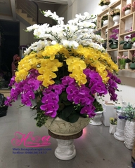 Hoa giả-Chậu hoa phong lan