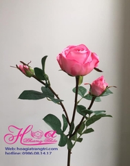 Hoa hồng lụa