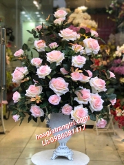 Hoa hồng phấn HCB378