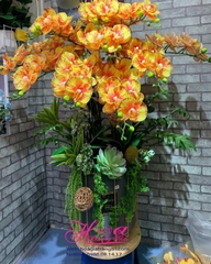 Bình hoa Phong lan vàng cam