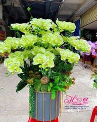 Hoa giả-Bình hoa phong lan màu xanh