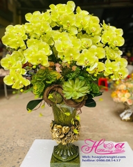 Bình hoa Phong lan màu vàng xanh