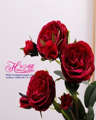 Cành hoa hồng pháp 3 bông 2 nụ