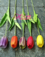 Hoa Tulip Cao su thêm Mẫu 3 HC238